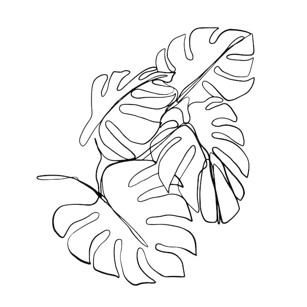Monstera de palma tropical deja hermosas plantas exóticas dibujadas a mano en el diseño de vectores de fondo blanco
