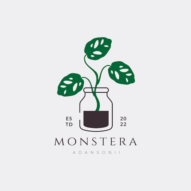 Monstera planta botánica jardín floral logotipo diseño abstracto vector gráfico ilustración