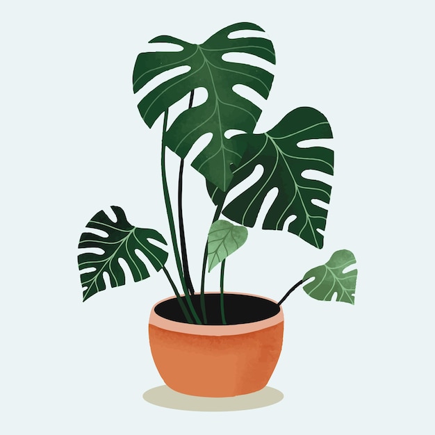 Vector monstera planta de hojas tropicales