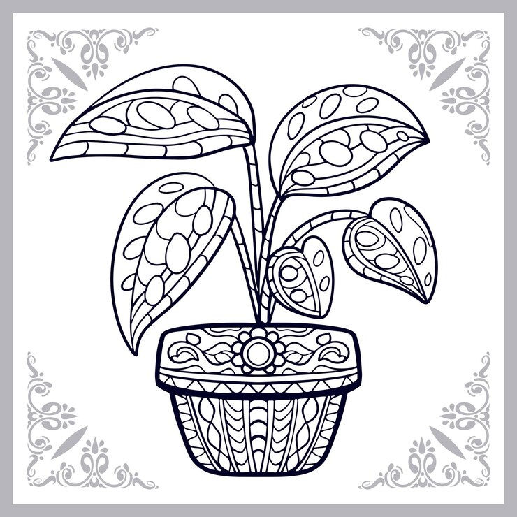 Vector monstera variegata planta zentangle artes aislado sobre fondo blanco.