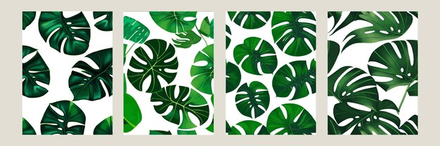 Monstera verde como patrón en un patrón exótico de fondo blanco con hojas tropicales Conjunto de ilustración vectorial