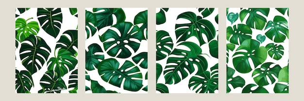 Monstera verde como patrón en un patrón exótico de fondo blanco con hojas tropicales Conjunto de ilustración vectorial