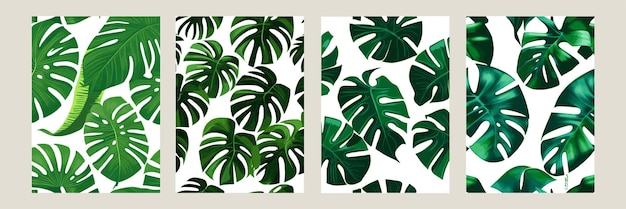 Monstera verde como patrón en un patrón exótico de fondo blanco con hojas tropicales Conjunto de ilustración vectorial