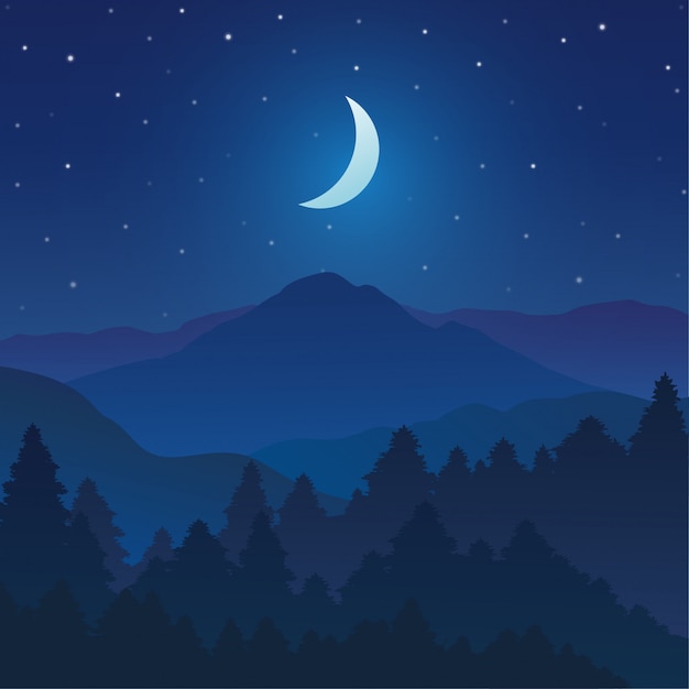 Vector montañas y paisaje forestal con bello cielo nocturno y estrellas.