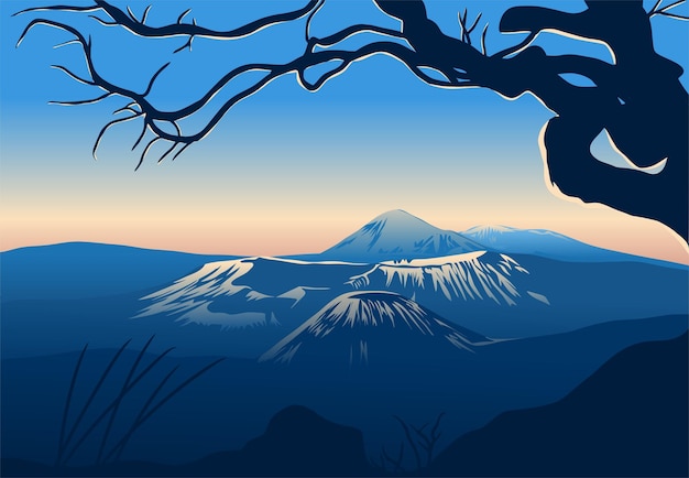 un Monte Bromo con un árbol en primer plano y un amanecer en el fondo