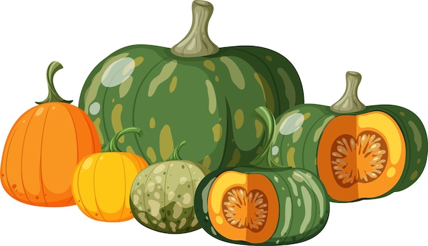 Vector montón de calabaza sobre fondo blanco.