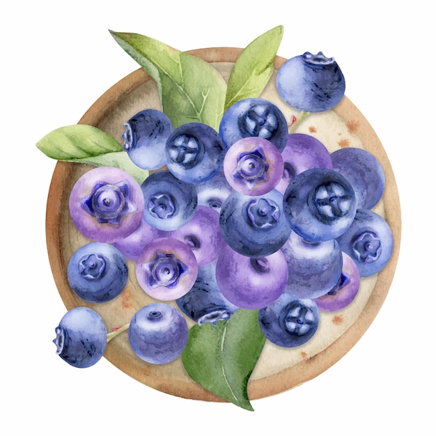 El montón de moras azules en una placa de cerámica hojas verdes dibujadas a mano en acuarela bosque púrpura maduro