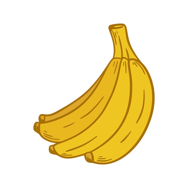 Un montón de plátanos amarillos maduros dibujados a mano con clip art Frutas tropicales aisladas sobre un fondo blanco