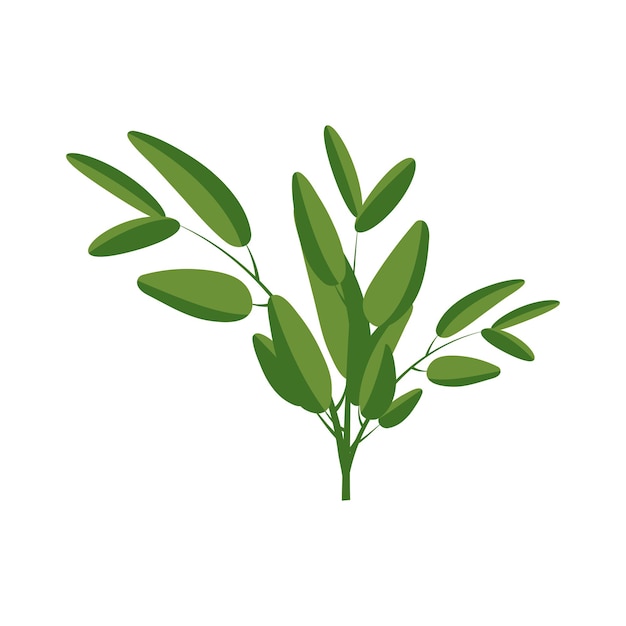 Un montón de salvia parte de mi color plano conjunto de las mejores hierbas para cocinar vegetación en una hierbas blancas para