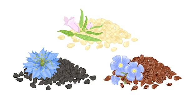 Un montón de semillas de lino, comino negro y sésamo