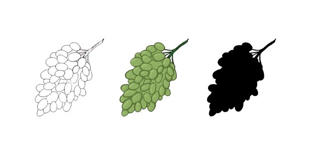 Montón de uvas, ingrediente de la cosecha de bayas para hacer vinos, garabatos, dibujos animados lineales para colorear