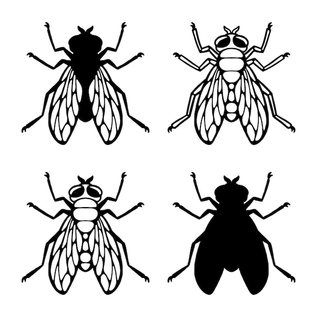 Mosca insecto contorno silueta