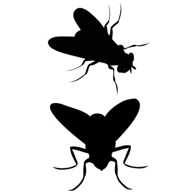 Mosca silueta aislada