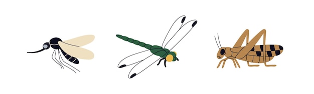 Mosquito libélula saltamontes insectos de verano conjunto pequeña fauna pequeñas especies de animales gnat arbusto grillo libélula ilustraciones vectoriales planas aisladas sobre fondo blanco