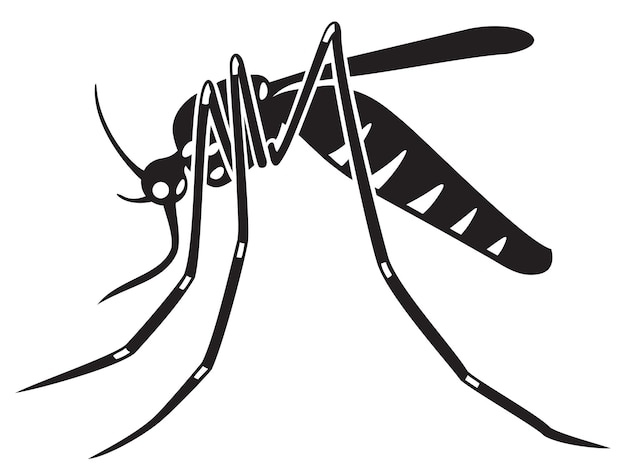 Mosquito tigre