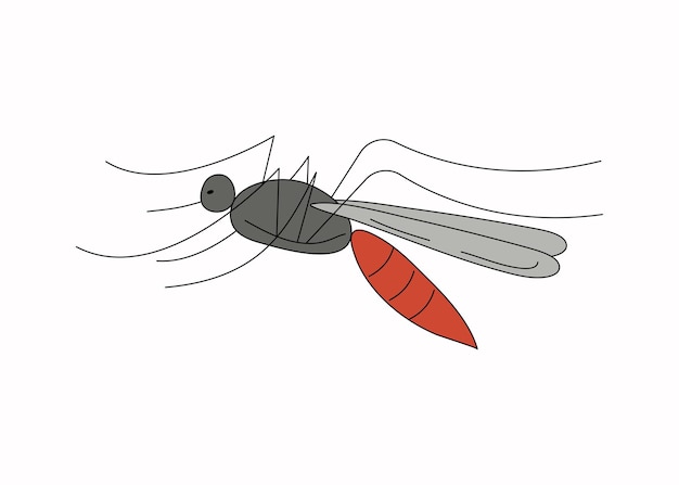 Vector mosquito