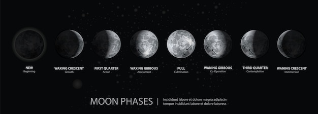 Vector movimientos de las fases de la luna realistas