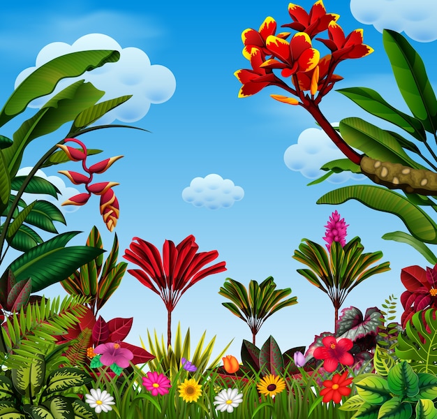 Vector mucha licencia y variantes florales.