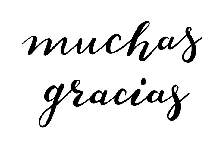 Vector muchas gracias gracias en español vector de letras a mano