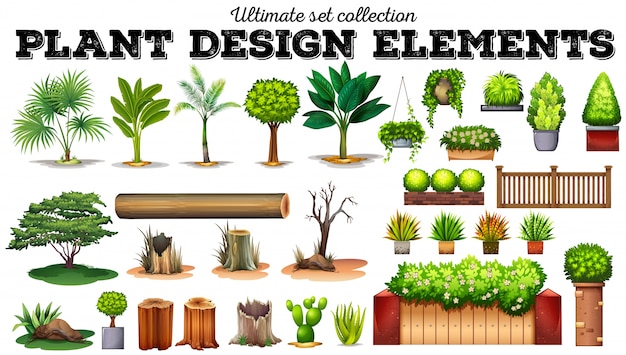 Vector muchos tipos de ilustración de plantas