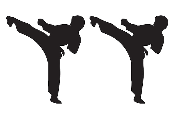 Se muestra un par de luchadores de karate, uno de ellos vestido de negro.