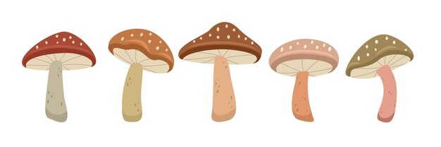 se muestran tres hongos con manchas marrones en ellos