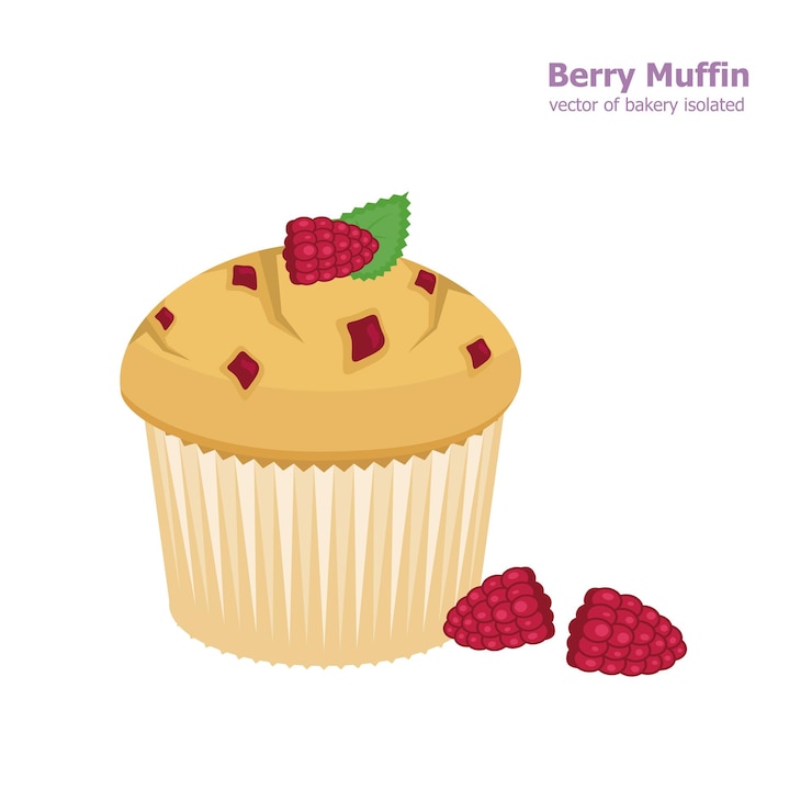 Vector muffinframbuesa