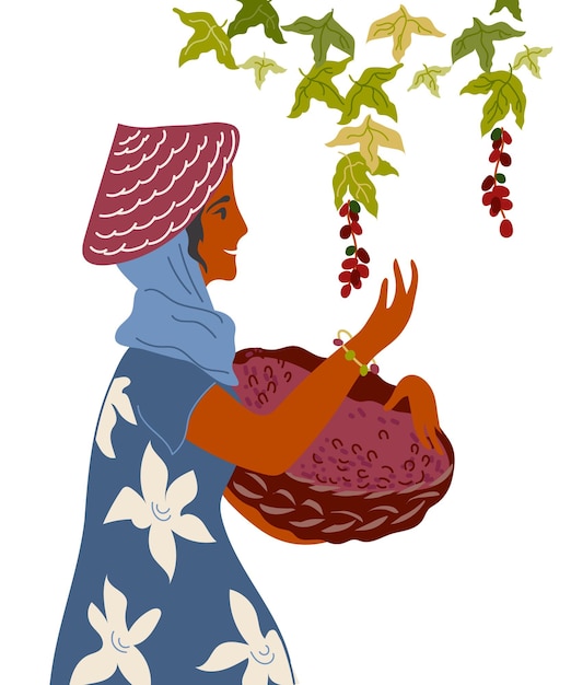 Mujer con cesta recolectar granos de café ilustración vectorial plana aislada