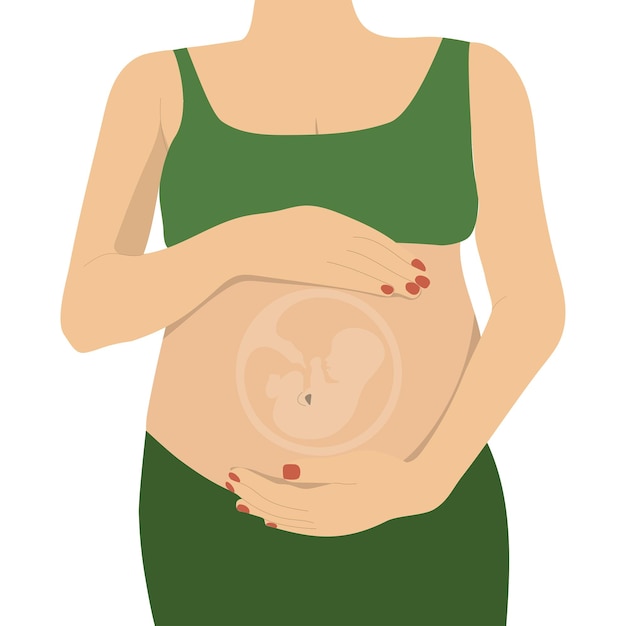 Vector mujer embarazada con bebé dentro del vientre