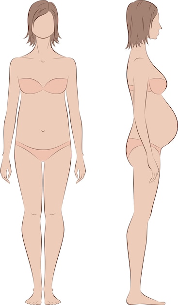 Una mujer embarazada de pie ilustración vectorial frontal y lateral