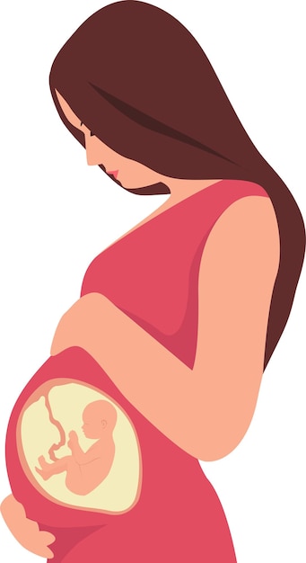 Una mujer embarazada tocando su vientre Un bebé en el vientre está en la posición fetal con la cabeza hacia arriba