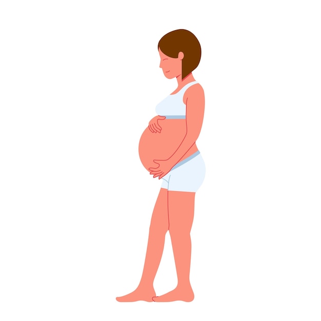 Mujer embarazada a toda altura acariciando su vientre ilustración vectorial plana