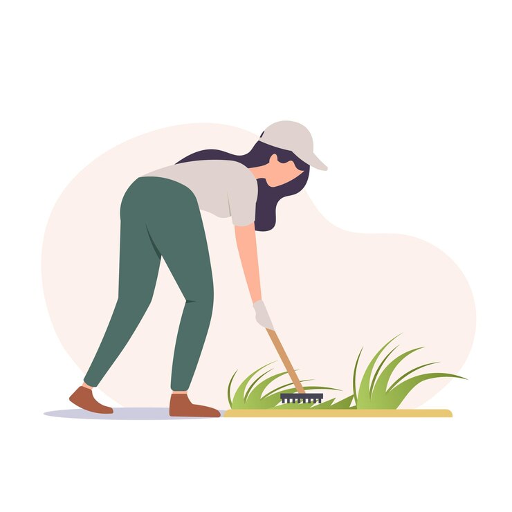Vector mujer jardinera rastrillando el césped en un estilo minimalista ilustración vectorial