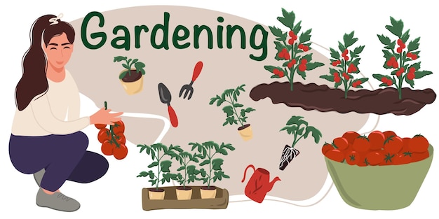 Mujer de jardinería feliz con herramientas y cosecha de tomate. Un conjunto de herramientas y plántulas para jardinería.
