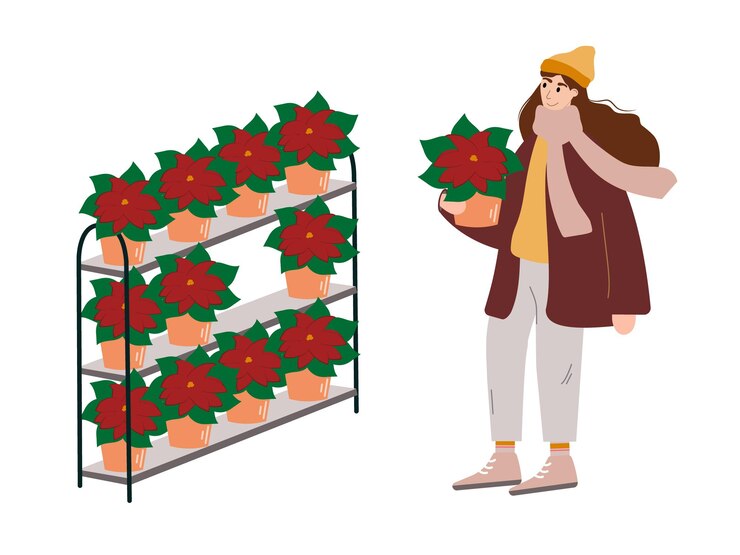 Vector mujer joven comprando poinsettia y preparándose para las vacaciones de invierno en navidad y nochevieja.