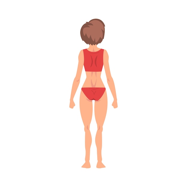 Mujer medio desnuda de pie en la vista trasera y haciendo una ilustración vectorial de Roentgen