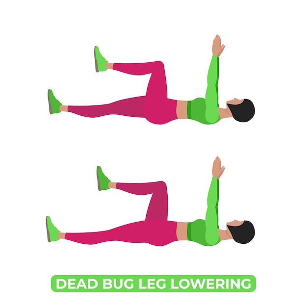 Mujer vectorial haciendo pierna de insecto muerto Bajando el peso corporal Fitness ABS Core Workout Ejercicio