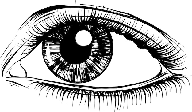 Mujeres hermosas ojos con maquillaje