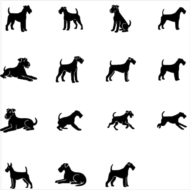 Múltiples siluetas de Airedale Terriers en varias posturas