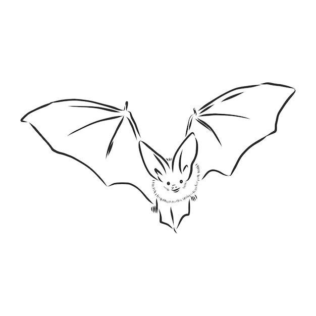 Murciélago vampiro de halloween volador en blanco y negro, ilustración de vector de estilo boceto aislado sobre fondo blanco. dibujado a mano, murciélago vampiro estilo boceto volando con alas extendidas, objeto de halloween