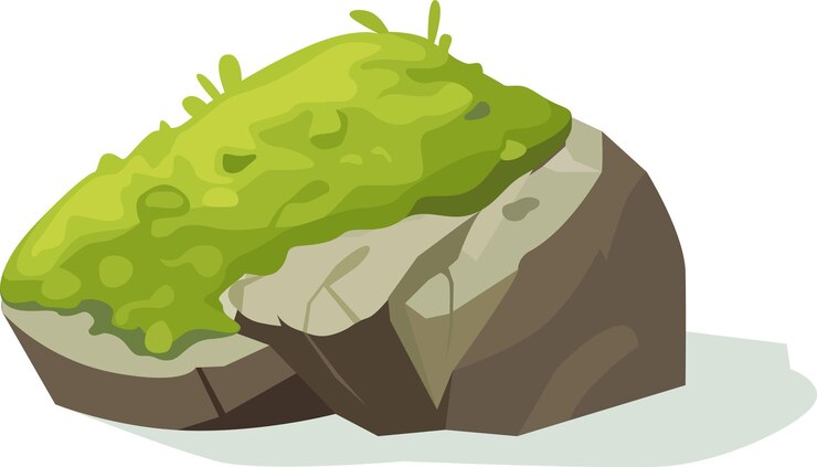 Vector musgo sobre piedra gris vieja