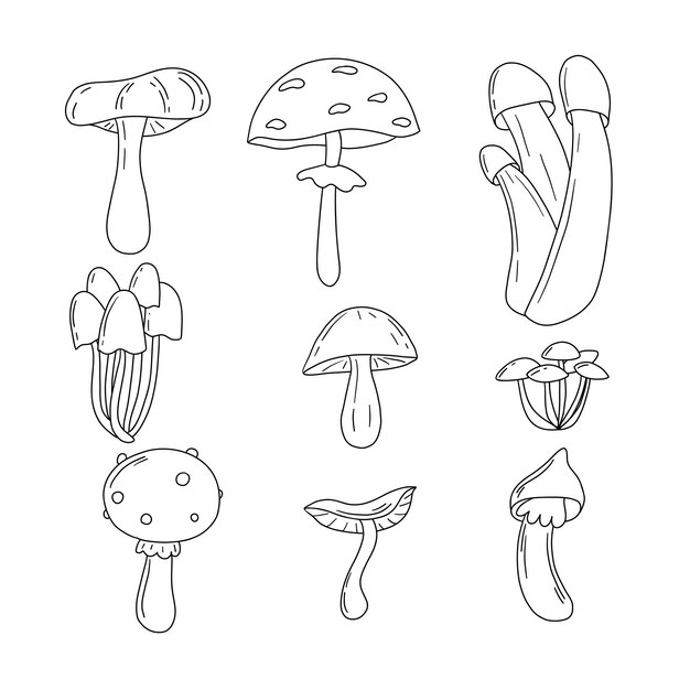 Mushroom doodle vector set Estado de ánimo de otoño colección de arte de línea aislada imprimir cartel de banner