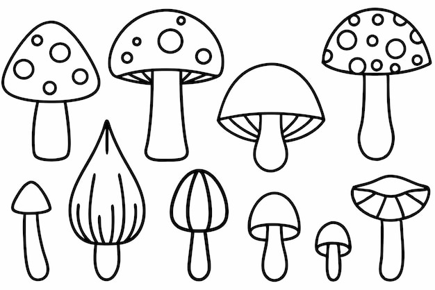 Mushroom Line Art Intricate Patterns for Artistic Design Projects