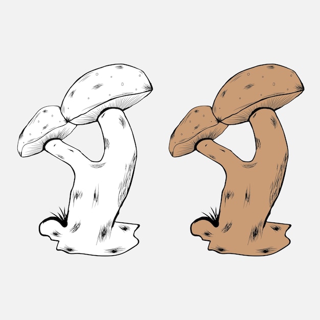 Mushroom Vector