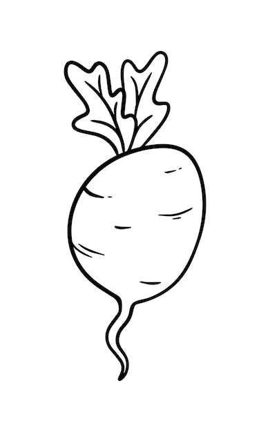 Nabo con hojas vegetales cosecha huerta doodle dibujos animados lineales para colorear