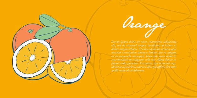 Naranja de color dibujado a mano