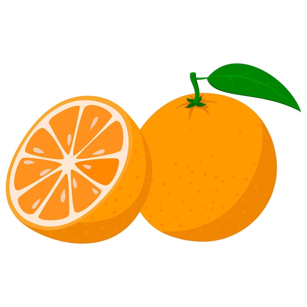 Una naranja, cortada por la mitad.ilustración vectorial aislada en un fondo blanco