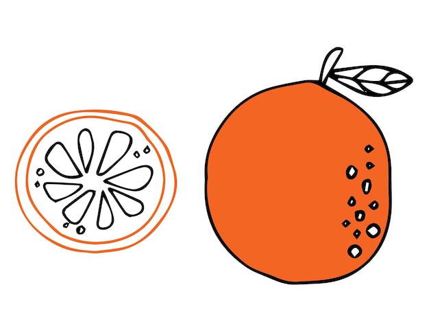 Naranja dibujada a mano.