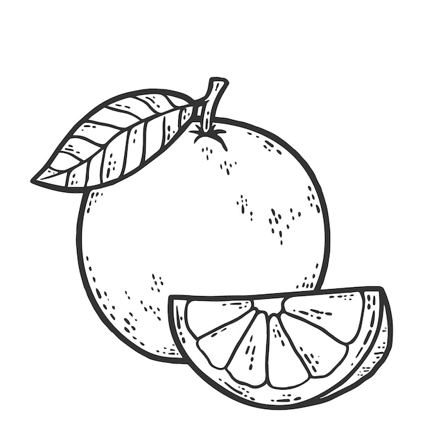 Naranja entera y rebanada Imitación de tablero de rascar de boceto Blanco y negro