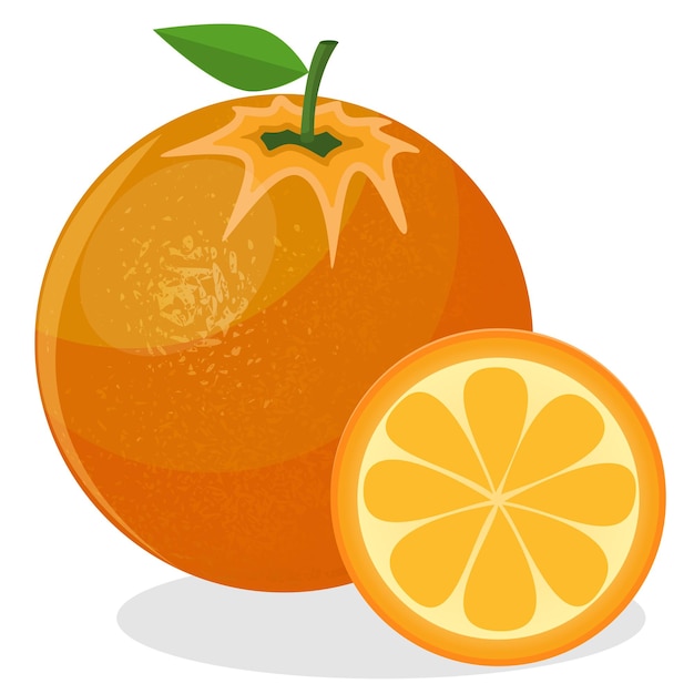 Naranja entera y rodajas de naranjas Ilustración vectorial de naranja